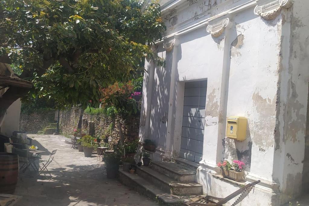 Appartement - Brando Exterior photo